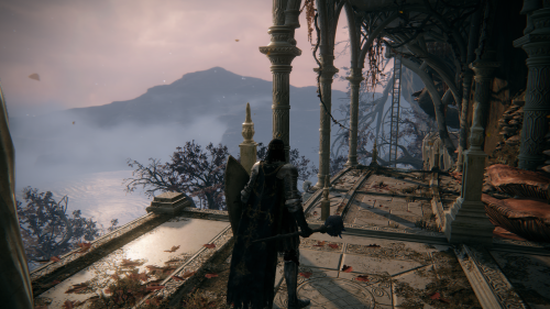 ELDEN-RING_20220915214406.png
