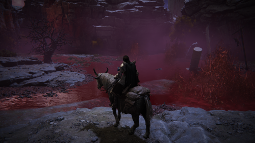 ELDEN-RING_20221001223451.png