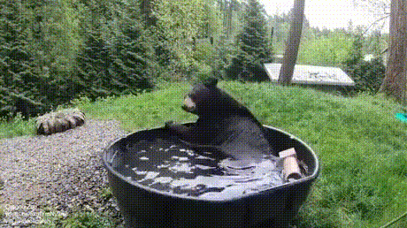 Everyone-deserves-a-spa-day.gif