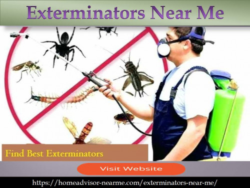 There are various pests such as bed bugs, termites which can damage your furniture and valuables in your home. To destroy all these pests you need to hire the exterminators near me service. To know more visit: https://homeadvisor-nearme.com/exterminators-near-me/