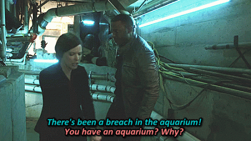 F215 03 you have an aquarium