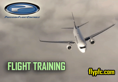 Flight-Training.gif