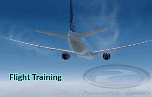 Flight Training