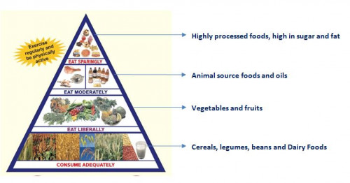 Food pyramid for kids is a guide to provide a framework for the types & amounts of food that can be eaten in combination to provide a healthy diet. Know more about food pyramid and health tips for children visit: https://pediasure.in/healthy-eating-tips/food-pyramid-for-kids