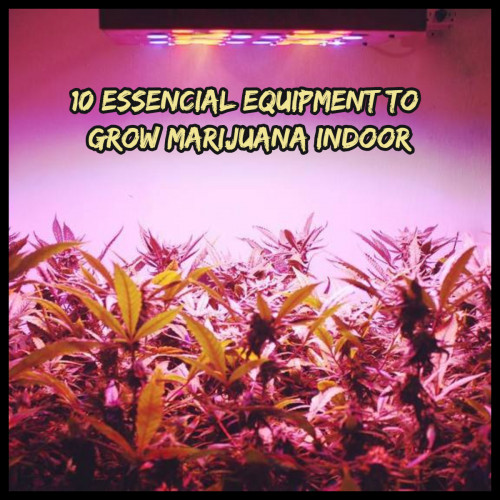 Here is a list of Marijuana Grow Equipment, you need for a very simple setup. A complete selection of indoor growing equipment, tools and accessories.

#growweed #weedtools #marijuanaequipment #weedtent #indoorweed