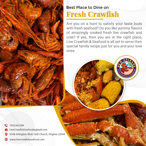 Are you on a hunt to satisfy your taste buds with fresh seafood?  Do you like yummy flavors of amazingly cooked fresh live crawfish and crabs?  If yes, then you are in the right place, Live Crawfish & Seafood is all set to serve their special family recipe just for you and your love ones.

Visit: https://www.livecrawfishseafood.com/