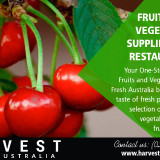 Fruit-and-Vegetable-Suppliers-for-Restaurants