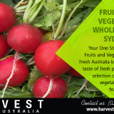 Fruit-and-Vegetable-Wholesalers-Sydney