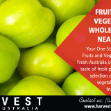 Fruit-and-Vegetable-Wholesalers-near-meda1733ed29188ac4