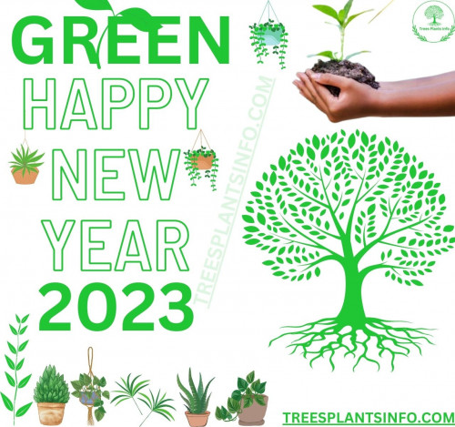 GREEN-HAPPY-NEW-YEAR.jpg