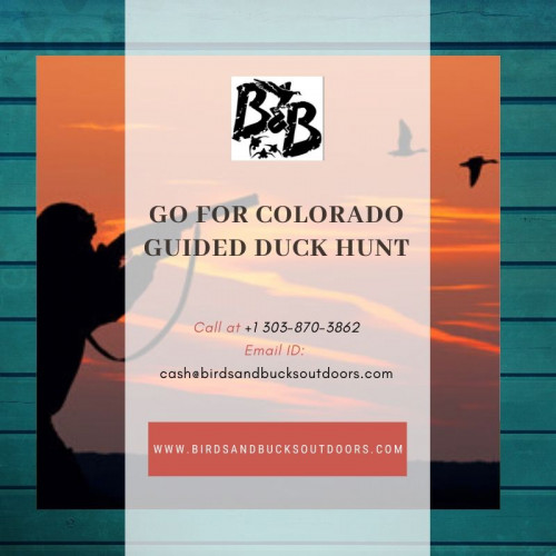 Go for Colorado Guided Duck Hunt