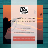 Go-for-Colorado-Guided-Duck-Hunt
