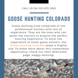 Goose-Hunting-Colorado2f51f2091a8e282c