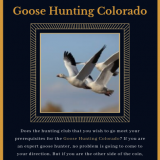 Goose-Hunting-Colorado65955a3e25b3aa1a