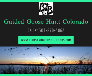 Guided-Goose-Hunt-Colorado.png