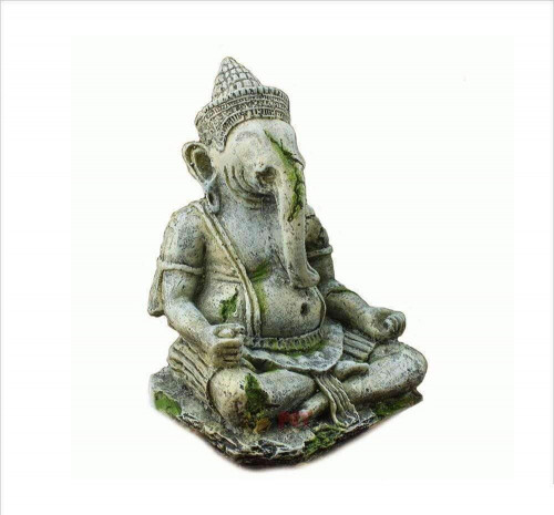 Ganesh Buddha Statue Aquarium Ornaments - aquarium accessories and tools for your aquarium. Special 3D Decorations. Only here at Exoaquaristic. Shop Now. 

Visit us: https://microaquaticshop.com.au/products/ganesh-buddha-statue-aquarium-ornaments-buy-online