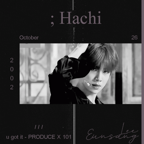Hachi1.gif