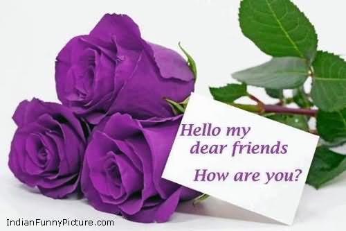 Hello-My-Dear-Friends-How-Are-You-Purple-Rose-Picture.jpg