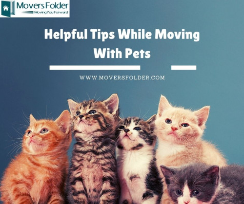 Helpful Tips While Moving With Pets