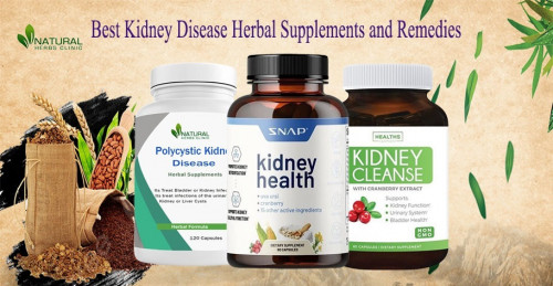 Find the best natural remedies to help improve kidney health and alleviate symptoms of kidney disease. We’ve gathered 10 of the best natural remedies and Kidney Disease Herbal Supplements to help reduce inflammation, improve kidney function and boost overall health. https://www.naturalherbsclinic.com/blog/10-best-kidney-disease-herbal-supplements-and-remedies/