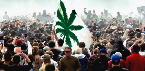 Do you know which places are in the highest population of weed? Here are the list of top 10 places with the highest numbers of cannabis weed users in the world. To know more details for click on this link:-http://bit.ly/2XthSFX