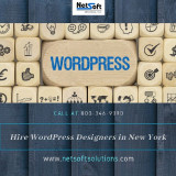 Hire-WordPress-Designers-in-New-York