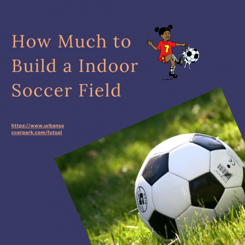 How-Much-to-Build-a-Indoor-Soccer-Field.png