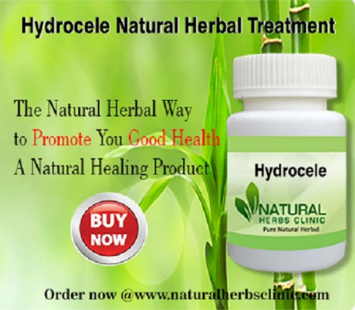 Herbal Treatment for Hydrocele read about Symptoms and Causes. Hydrocele is a painless buildup of watery fluid around one or both testicles that causes the scrotum or groin area to swell... https://www.naturalherbsclinic.com/product/hydrocele/