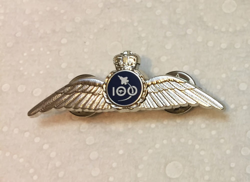 Air Force 100 Double Wings Silver Pin
