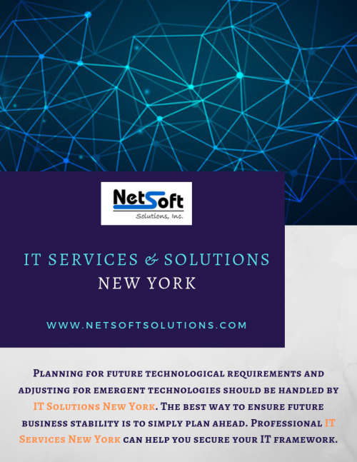 IT Consultancies in New York provide a very valuable service to clients. NetSoft offers high-quality IT Solutions New York & ensure they have all the technological tools to meet your business goals. If you want top IT Services New York, then NetSoft is the perfect choice for your needs.

http://www.netsoftsolutions.com/services/it-consulting/