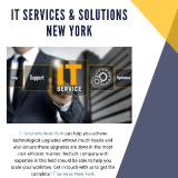 IT-Services--Solutions-New-York99ed4630fef3991c