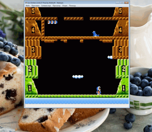 Ice-climber-NES-1984.gif