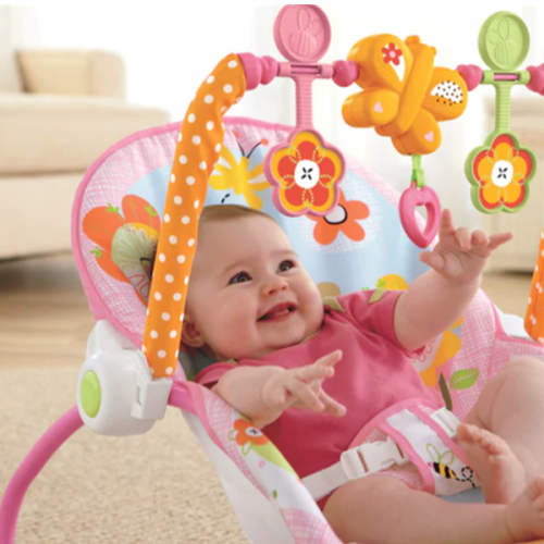 Infant to Toddler Rocker 2