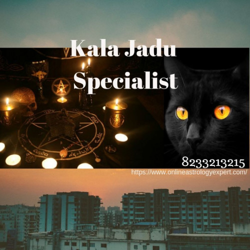 If require Kala Jadu Specialist then you meet to Shashikant Shastri Ji. He is the best Kala jadu specialist and he has a long time experience in this field. He provides all solutions related to Kala jadu problems. Visit us:https://www.onlineastrologyexpert.com/kala-jadu-specialist/