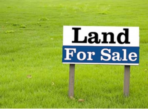Land-for-sale.jpg