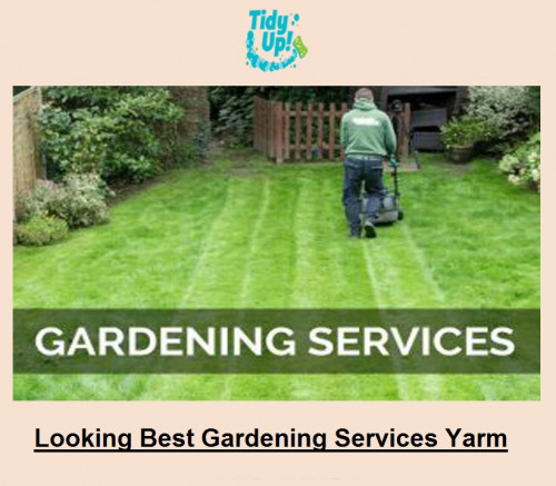 Looking-Best-Gardening-Services-Yarm.jpg