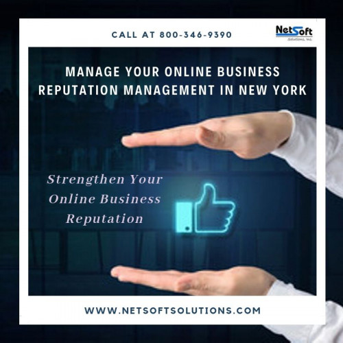 Google adores those sites which have a good online reputation with positive product reviews. If you don't know how to make it conceivable, at that point it is worth to look for Online Business Reputation Management in New York.

http://www.netsoftsolutions.com/business-reputation-management/