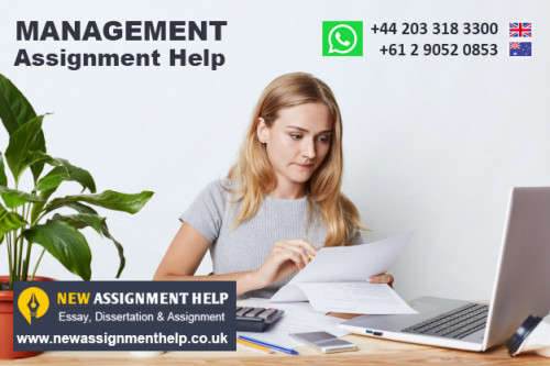 Management-Assignment-Help.jpg