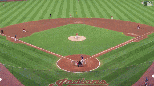 Mazara-sac-fly-at-CLE-8-5-2019.gif