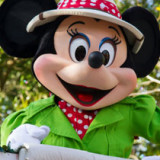 Minnie-Mousea7f2402aa607ee13