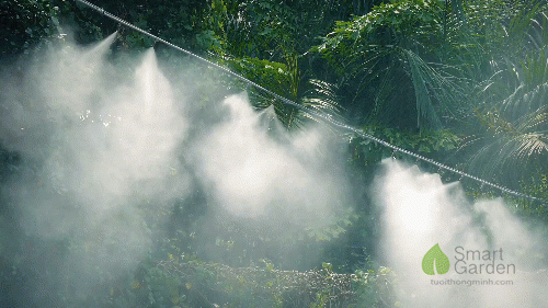 Mist sprayer