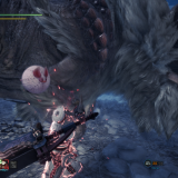 Monster-Hunter-World_-Iceborne_20210426184138