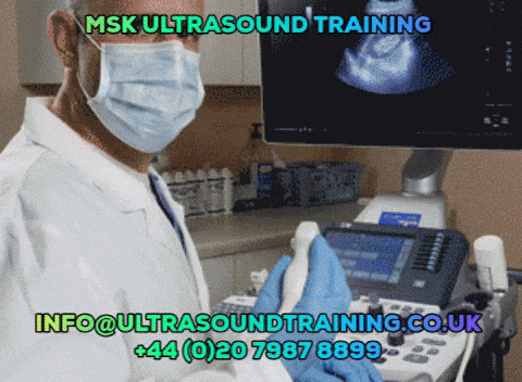 Are you looking for Ultrasound training courses? Courses are available here just give a call @ +44 (0)20 7987 8899. Visit www.ultrasoundtraining.co.uk
