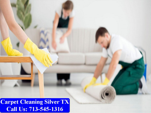 My-Pro-Cleaner-TX-024.jpg