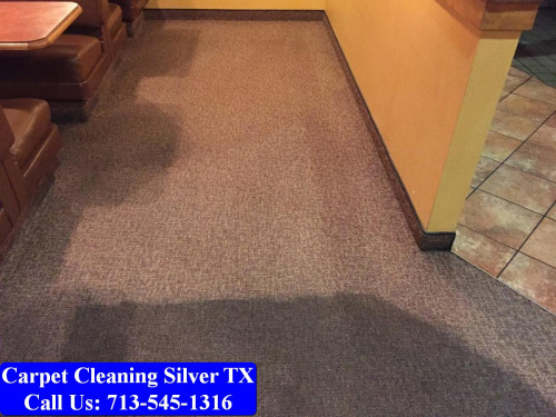 My Pro Cleaner TX,1126 Abana Ln, Houston, TX 77090,(713) 545-1316,https://www.myprocleaner.com