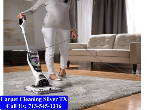 My Pro Cleaner TX,1126 Abana Ln, Houston, TX 77090,(713) 545-1316,https://www.myprocleaner.com