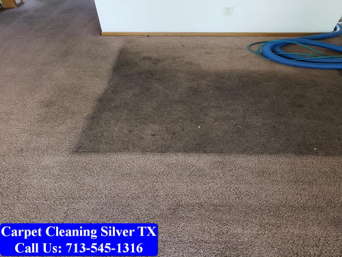 My Pro Cleaner TX,1126 Abana Ln, Houston, TX 77090,(713) 545-1316,https://www.myprocleaner.com