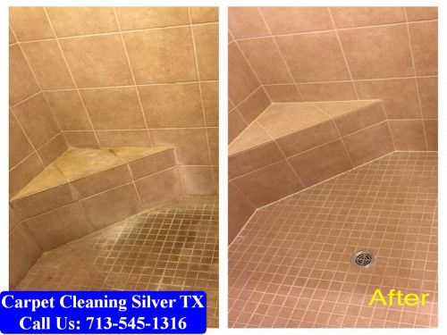 My Pro Cleaner TX,1126 Abana Ln, Houston, TX 77090,(713) 545-1316,https://www.myprocleaner.com