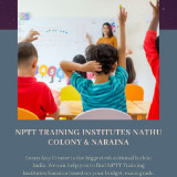 NPTT-Training-Institutes-Nathu-Colony--Narainaf553f7a507d245be