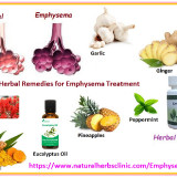 Natural-Herbal-Remedies-for-Emphysema-Treatment-and-Manage-with-Symptoms-Naturally